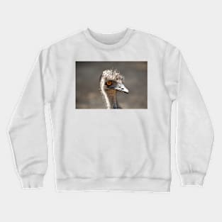 Emu Smile Crewneck Sweatshirt